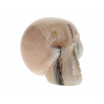 Honey Himalayan Calcite Skull