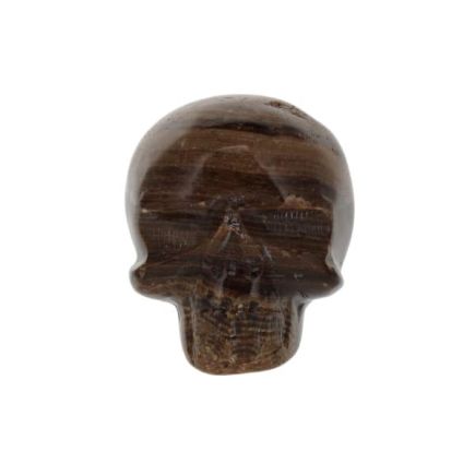Root Beer Himalayan Calcite Skull