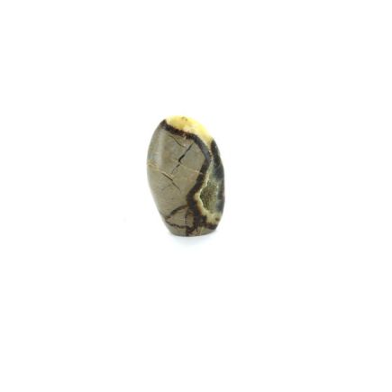 Septarian Freeform 2
