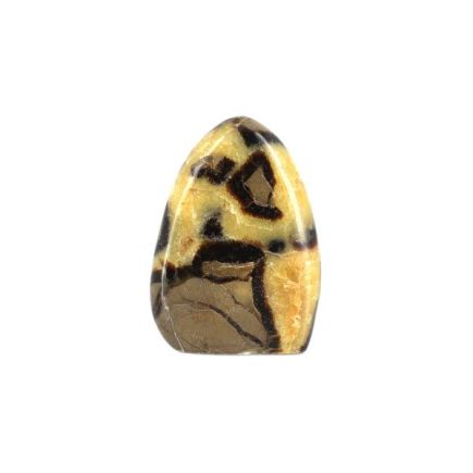 Septarian Freeform