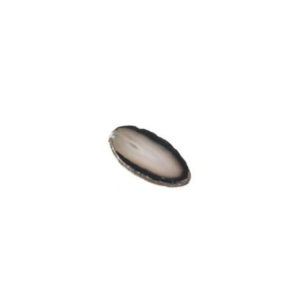 Agate Slices Natural - Size 00