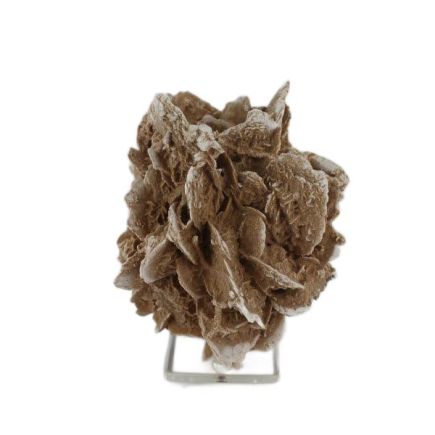 Desert Rose Rosette