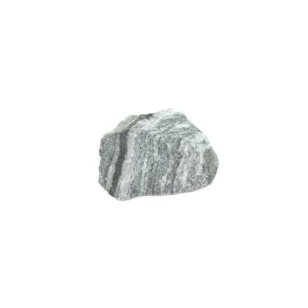 Zebra Jasper 1