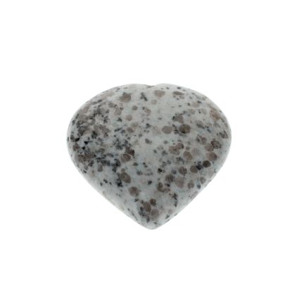 Kiwi Jasper Heart 6
