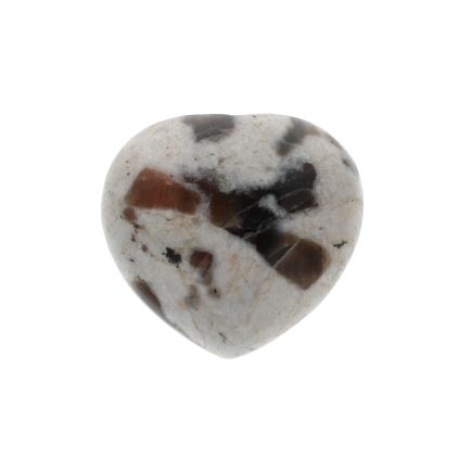 Polarite Heart 6