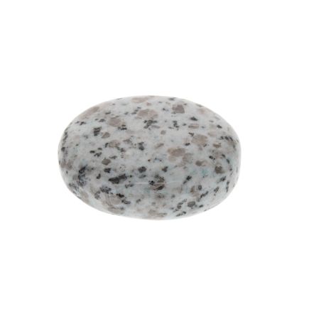 Kiwi Jasper Palmstone 5