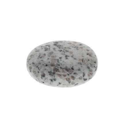 Kiwi Jasper Palmstone 4