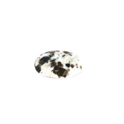 Polarite Palmstone 6
