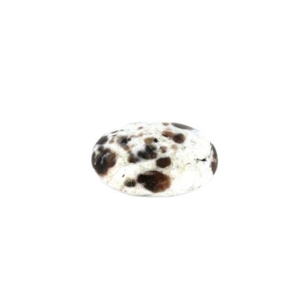 Polarite Palmstone 7