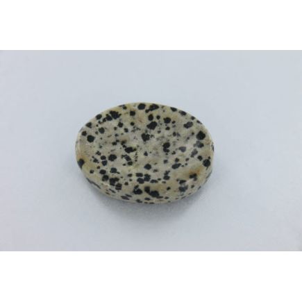 Dalmation Jasper Thumbstone