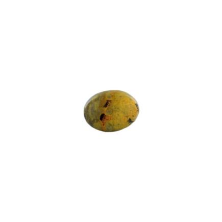 Bumble Bee Jasper Tumblestone (24g)
