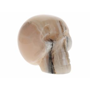 Honey Himalayan Calcite Skull