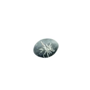 Chrysanthemum Pebble
