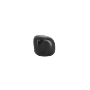 Shungite Pebble 4