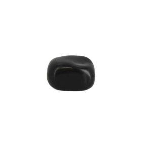 Shungite Pebble 5