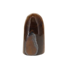 Tiger Eye Freeform 1