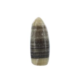 Zebra Aragonite Freeform