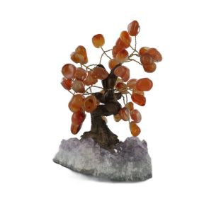 Carnelian Bonsai Tree - Medium