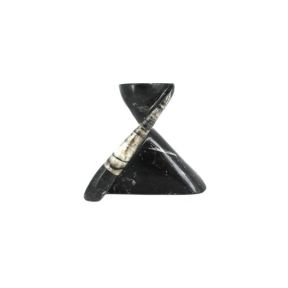 Orthoceras Candle Holder