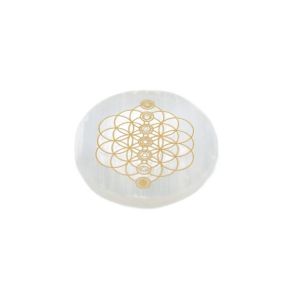 Selenite Chakra Seed Plate