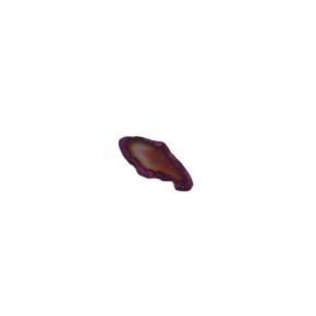 Agate Slices Pink - Size 00
