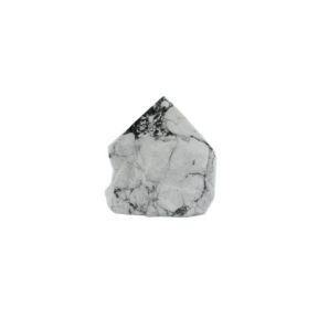 Howlite White Rough Pol Pnt 4