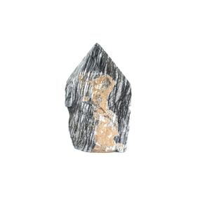 Jasper Picaso Rough POL Pnt 5