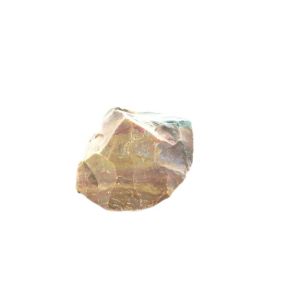 Petrified Wood Rough 1