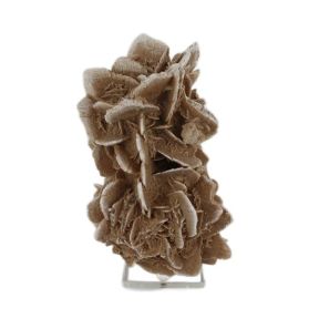 Desert Rose Rosette