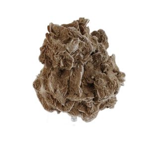 Desert Rose Rosette