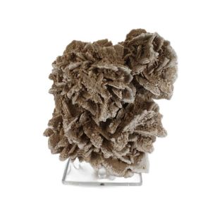 Desert Rose Rosette