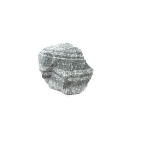 Zebra Jasper 2