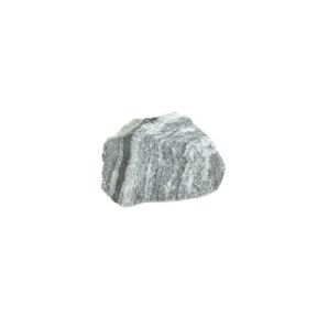Zebra Jasper 1