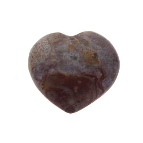 Petrified Wood Heart