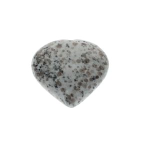 Kiwi Jasper Heart 6