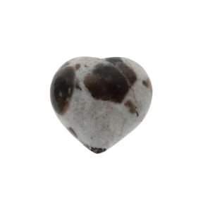 Polarite Heart 5