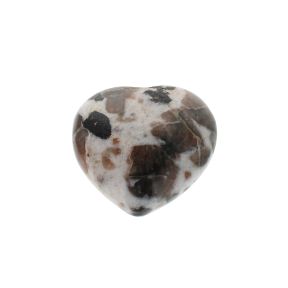 Polarite Heart 7
