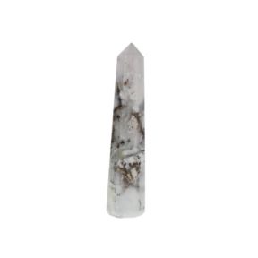Agate Dendritic Point