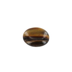 Tiger Eye Palmstone