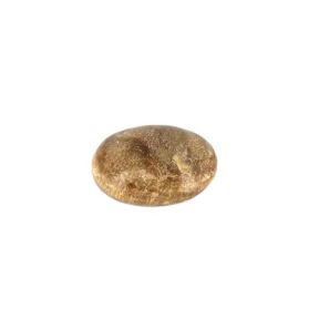 Root Beer Himalayan Calcite Palmstone