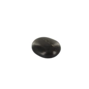 Shungite Palmstone