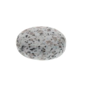 Kiwi Jasper Palmstone 5