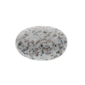 Kiwi Jasper Palmstone 6