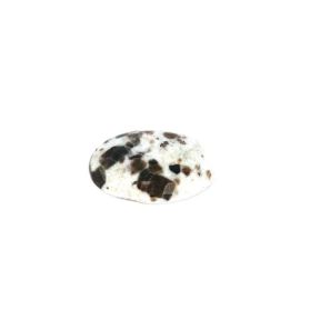 Polarite Palmstone 6