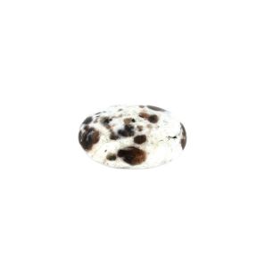 Polarite Palmstone 7