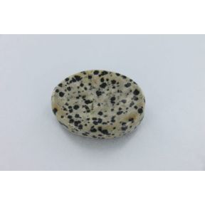 Dalmation Jasper Thumbstone