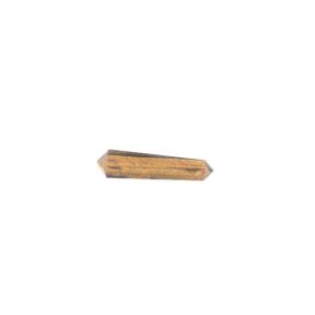 Tiger Eye Vogel
