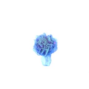 Gypsum Crystal