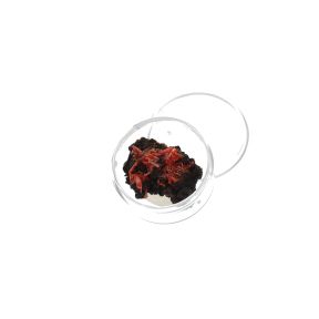 Crocoite Crystal Specimen DB