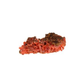 Crocoite Crystal Specimen